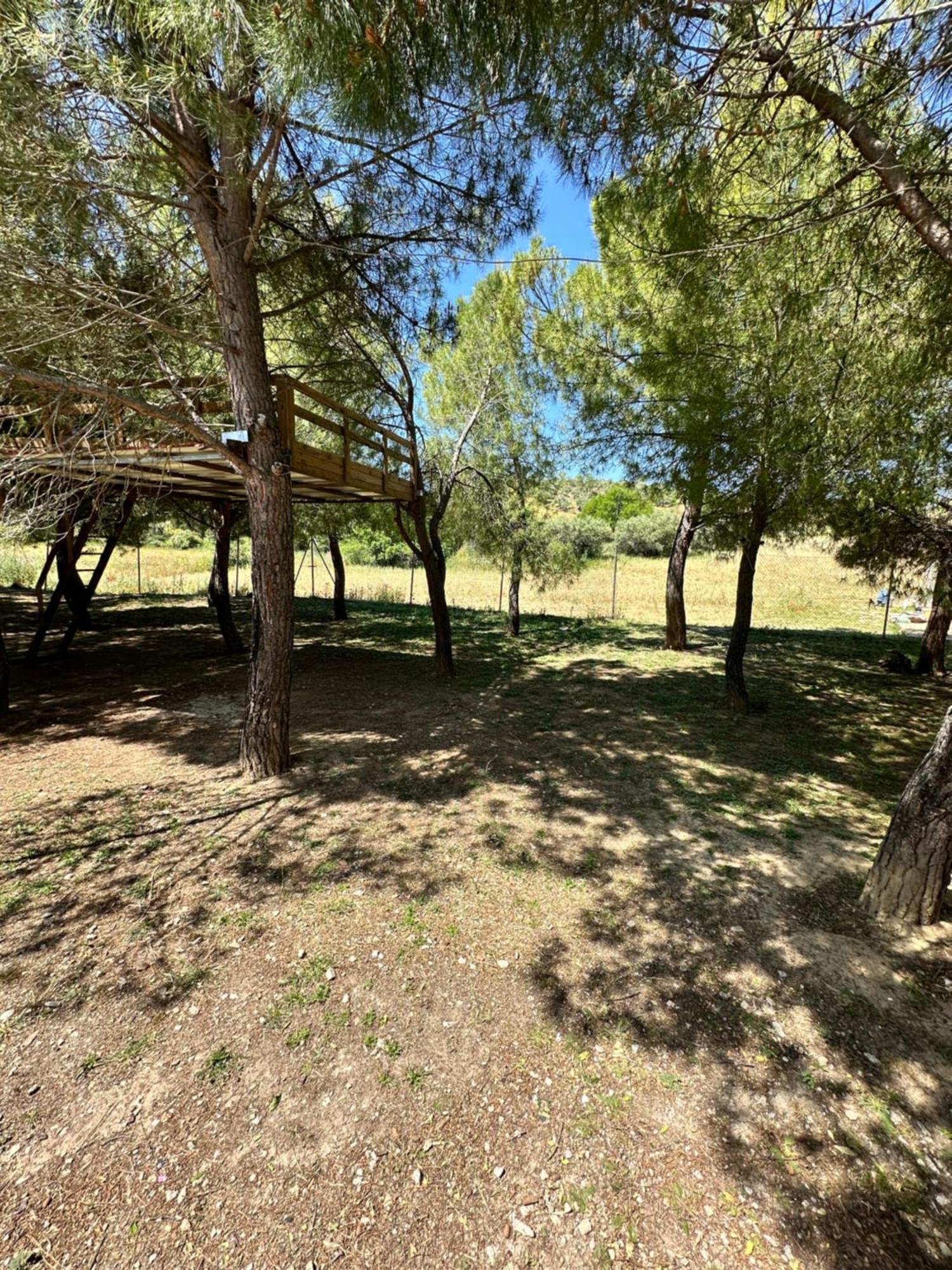 Bungalow Infanta Торрелагуна Экстерьер фото