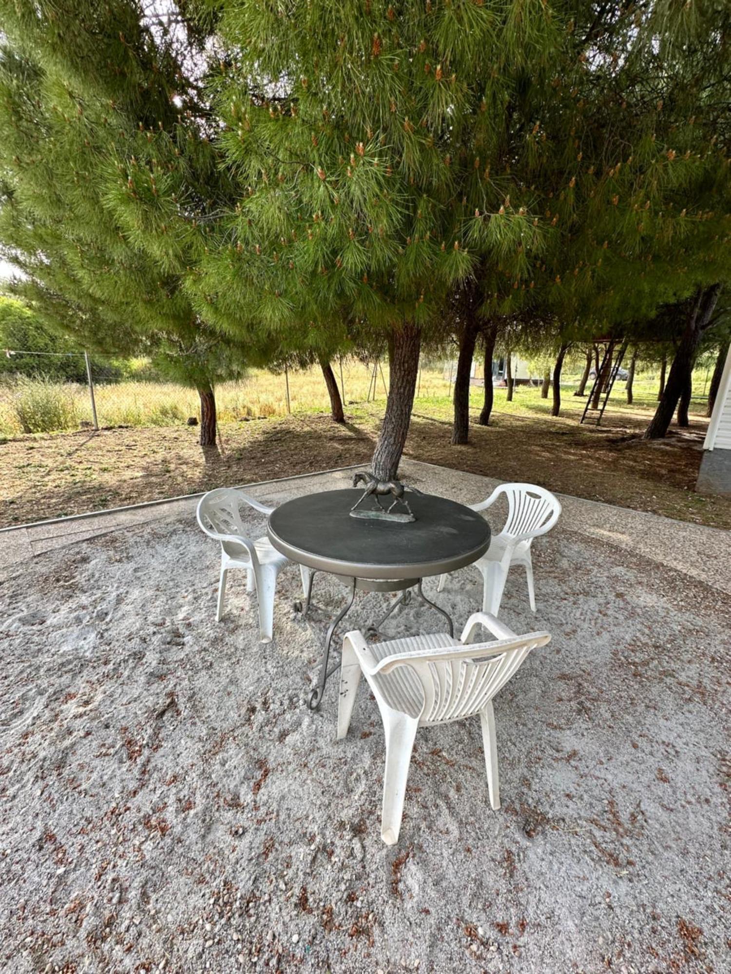 Bungalow Infanta Торрелагуна Экстерьер фото